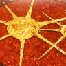 Столешница-мозаика "Звёзды" из янтаря HDSHD-stars